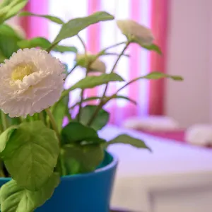 Apartament Housestation
